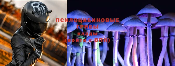 mdpv Бородино