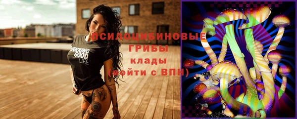 бутират Богородицк
